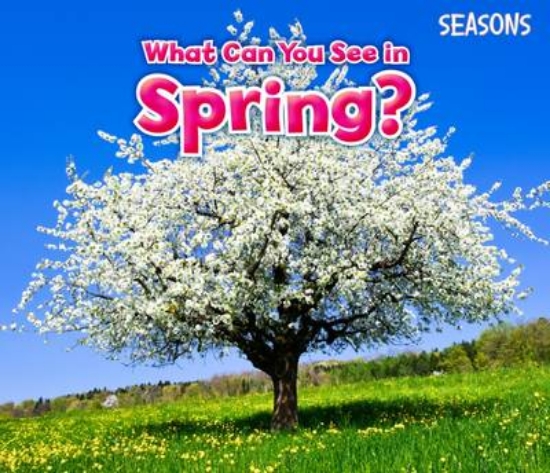 Picture of What Can You See In Spring?