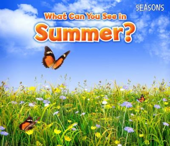 Picture of What Can You See In Summer?