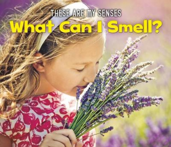 Picture of What Can I Smell?