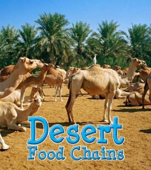 Picture of Desert Food Chains