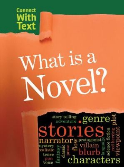 Picture of What is a Novel?
