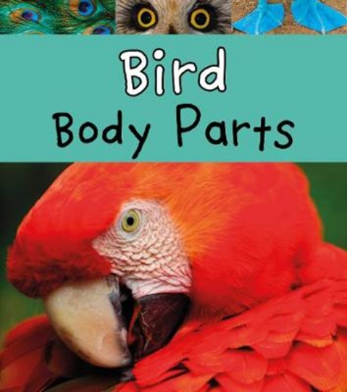 Picture of Bird Body Parts