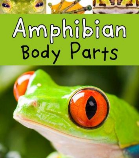 Picture of Amphibian Body Parts