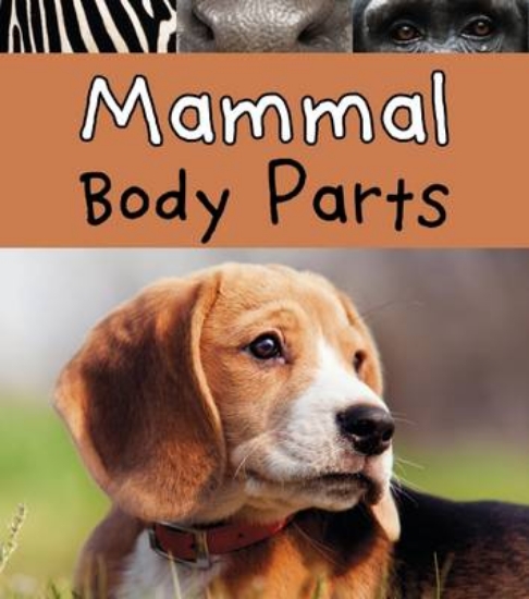 Picture of Mammal Body Parts