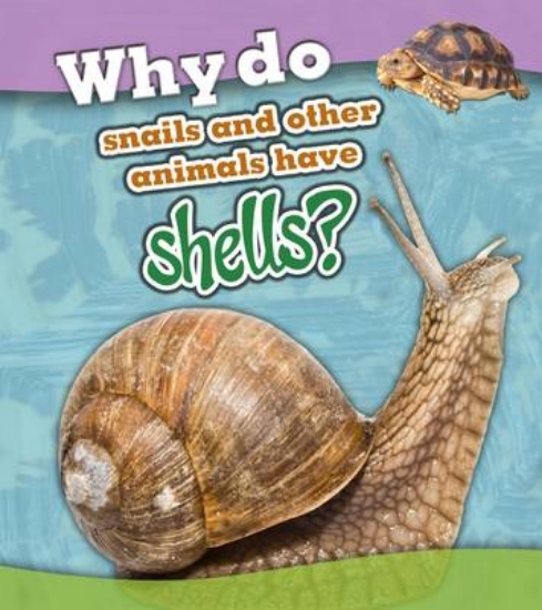 Picture of Why Do Snails and Other Animals Have Shells?