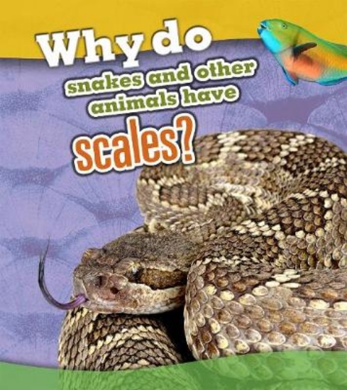 Picture of Why Do Snakes and Other Animals Have Scales?