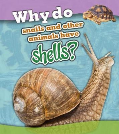Picture of Why Do Snails and Other Animals Have Shells?