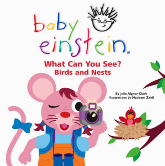 Picture of What Can You See? Birds and Nests