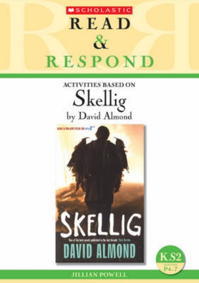 Picture of Skellig