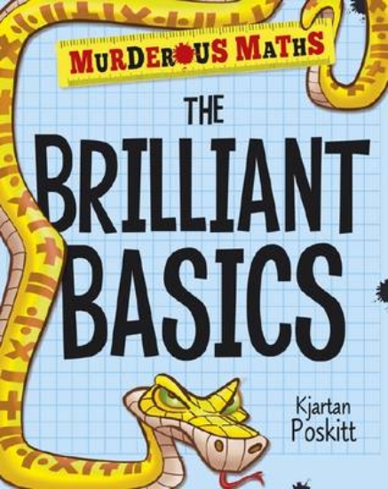 Picture of The Brain-Bending Basics