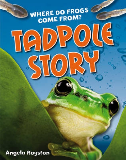 Picture of Tadpole Story