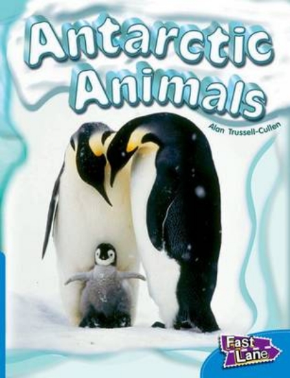 Picture of Antarctic Animals Fast Lane Blue Non-Fiction