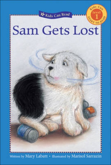 Picture of Sam Gets Lost