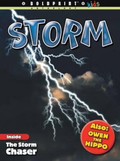 Picture of Storm