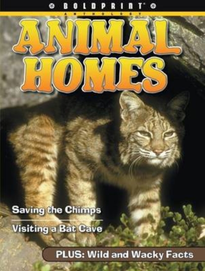 Picture of Animal Homes