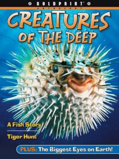 Picture of Creatures of the Deep