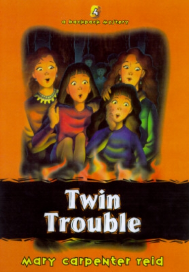 Picture of Twin Trouble: Book 4