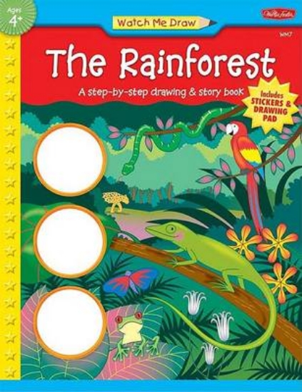 Picture of The Rainforest