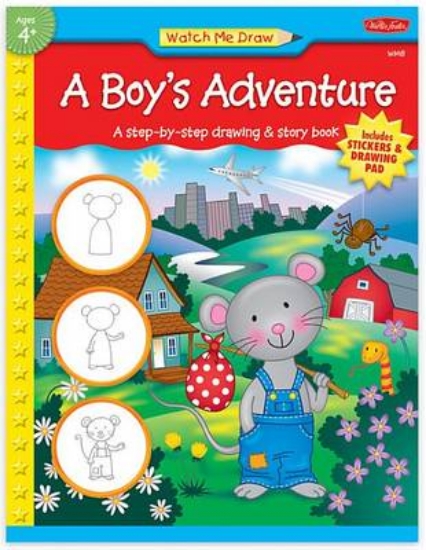Picture of A Boy's Adventure