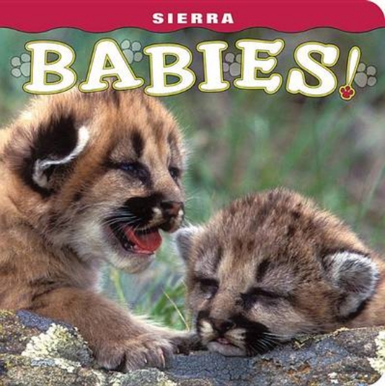Picture of Sierra Babies!