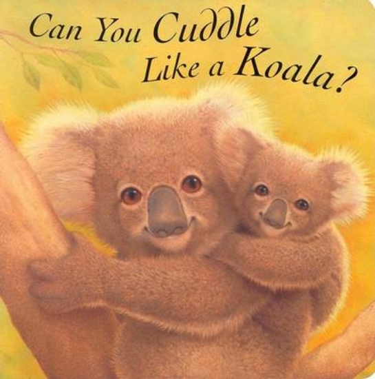 Picture of Can You Cuddle Like a Koala