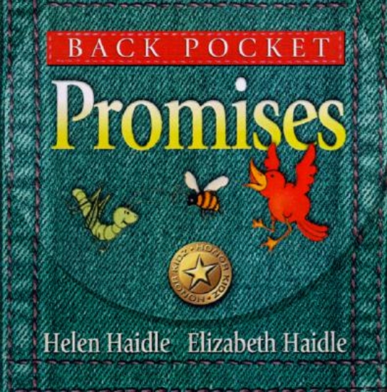 Picture of Back Pocket Promises