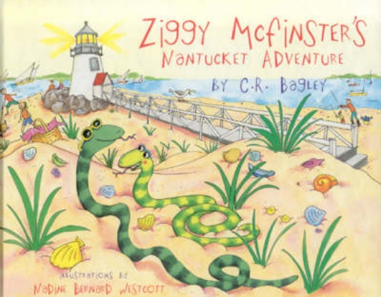Picture of Ziggy McFinster's Nantucket Adventure