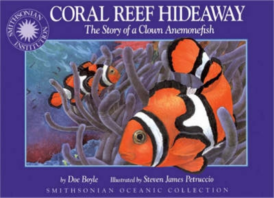Picture of Coral Reef Hideaway