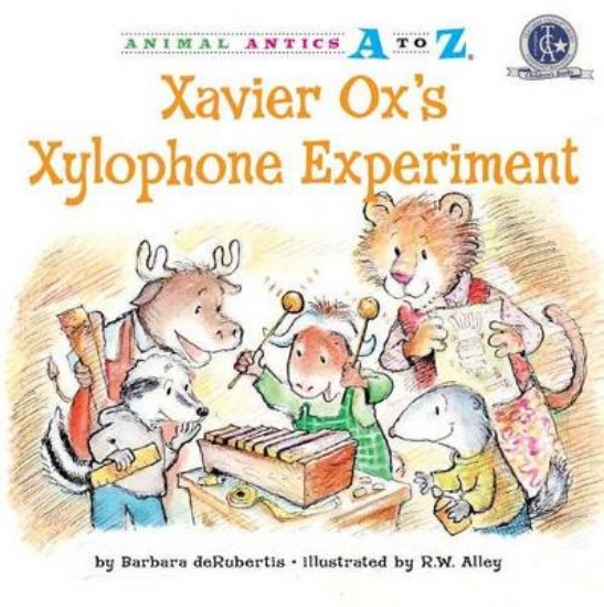 Picture of Xavier Ox's Xylophone Experiment