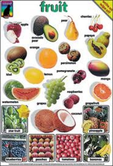 Picture of Fruits Poster