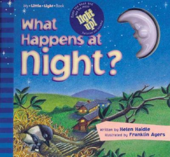 Picture of What Happens at Night?
