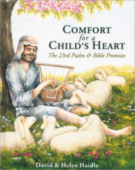 Picture of Comfort for a Child's Heart