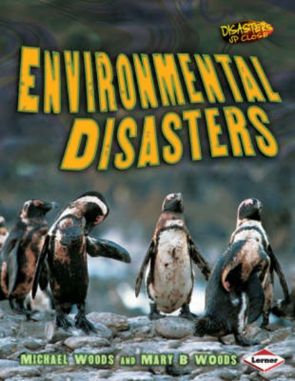 Picture of Environmental Disasters