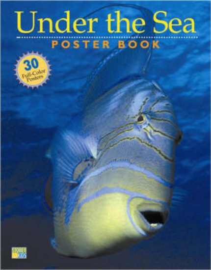 Picture of Under the Sea Poster Book