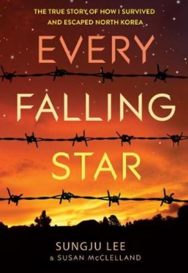 Picture of Every Falling Star