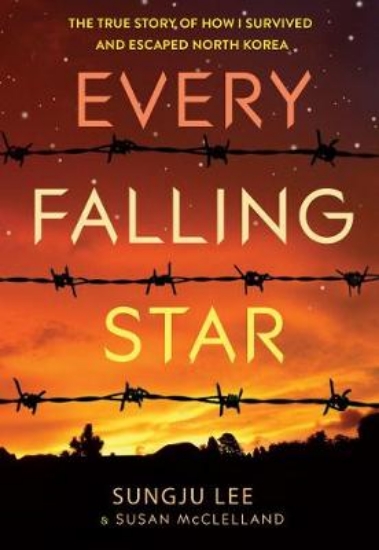 Picture of Every Falling Star (UK edition)