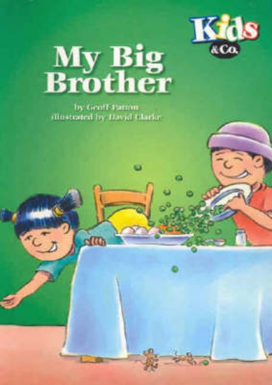 Picture of My Big Brother