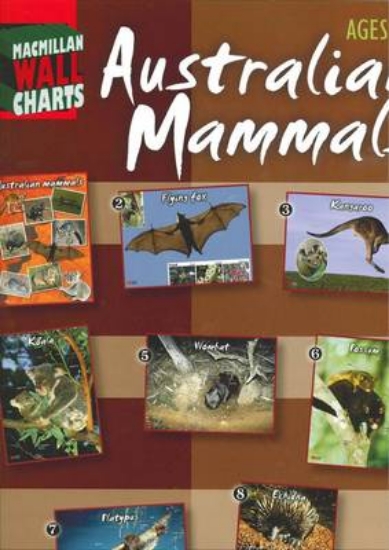 Picture of Australian Mammals