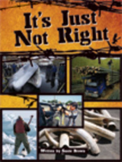 Picture of Springboard into Comprehension Level 5It's Just No