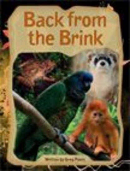 Picture of Springboard into Comprehension Level 6 Back From T