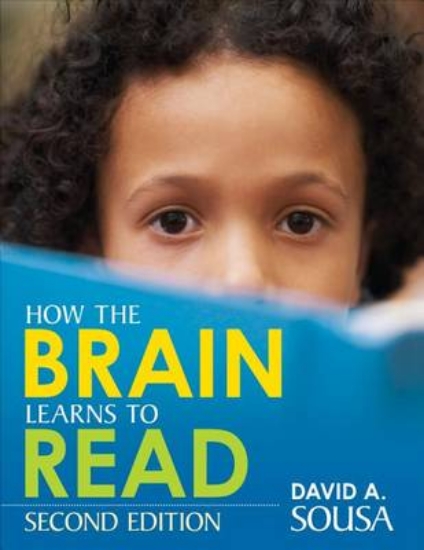 Picture of How the Brain Learns to Read
