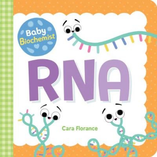Picture of Baby Biochemist: RNA BB
