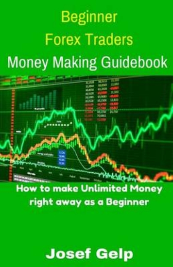 Picture of Beginner Forex Traders Money Making Guidebook