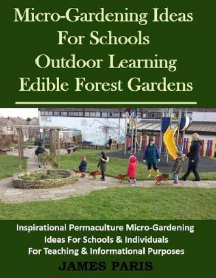Picture of Micro-Gardening Ideas For Schools, Outdoor Learnin