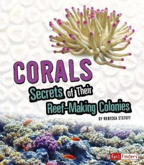 Picture of Corals: Secrets of Their Reef-Making Colonies