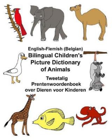 Picture of English-Flemish (Belgian) Bilingual Children's Pic