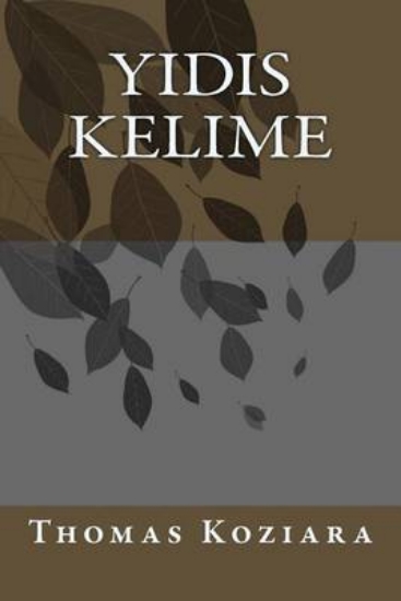 Picture of Yidis Kelime