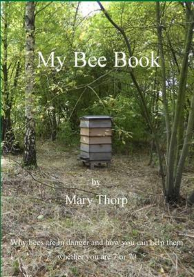 Picture of My Bee Book