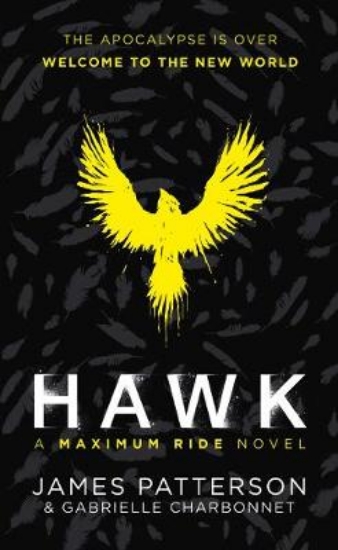 Picture of Hawk