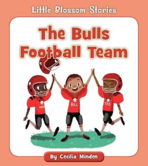 Picture of The Bulls Football Team